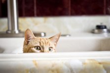 выкса.рф, График плановых отключений горячей воды в 2025 году